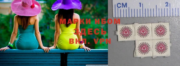 кокс Щигры