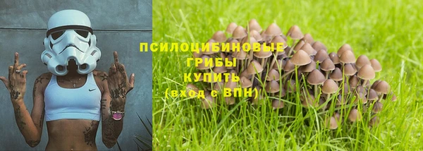 твердый Алзамай
